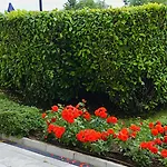 гардънс - Gardens
