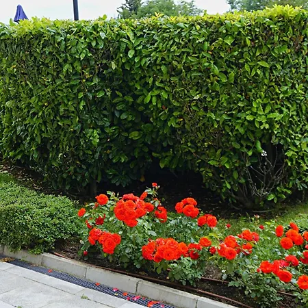 гардънс - Gardens